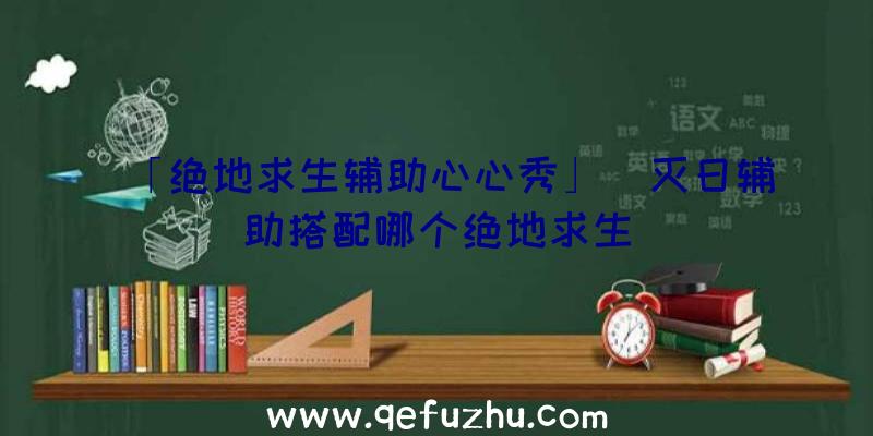 「绝地求生辅助心心秀」|灭日辅助搭配哪个绝地求生